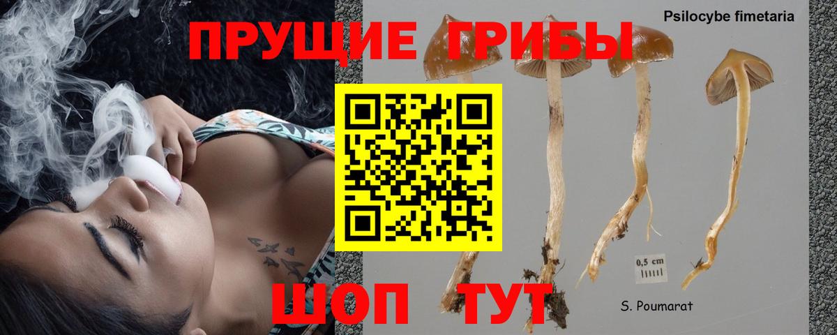 Псилоцибиновые грибы мухоморы  Вход с VPN  Галлюциногенные грибы мухоморы  Вышний Волочёк 