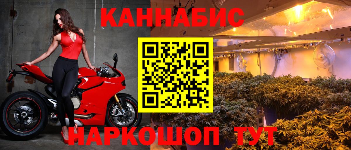 Бошки марихуана OG Kush Вышний Волочёк
